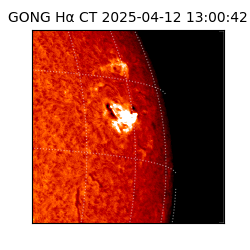 gong - 2025-04-12T13:00:42