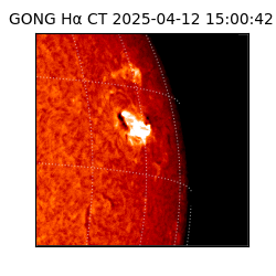 gong - 2025-04-12T15:00:42