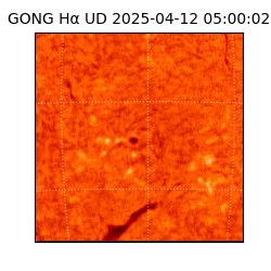 gong - 2025-04-12T05:00:02