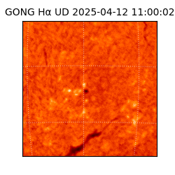 gong - 2025-04-12T11:00:02