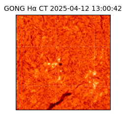 gong - 2025-04-12T13:00:42