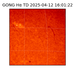 gong - 2025-04-12T16:01:22