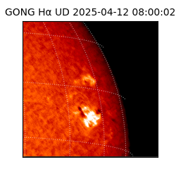 gong - 2025-04-12T08:00:02