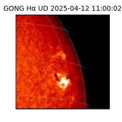 gong - 2025-04-12T11:00:02