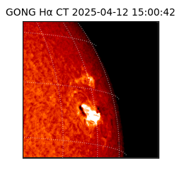 gong - 2025-04-12T15:00:42