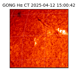 gong - 2025-04-12T15:00:42