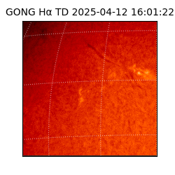gong - 2025-04-12T16:01:22