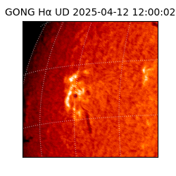 gong - 2025-04-12T12:00:02