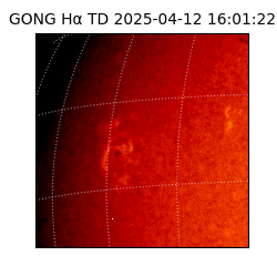 gong - 2025-04-12T16:01:22
