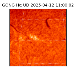 gong - 2025-04-12T11:00:02