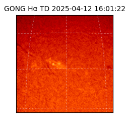 gong - 2025-04-12T16:01:22