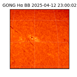 gong - 2025-04-12T23:00:02