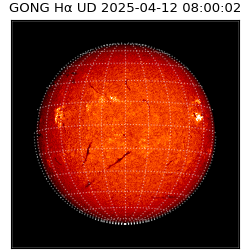 gong - 2025-04-12T08:00:02