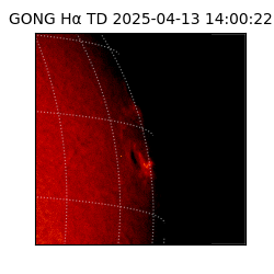 gong - 2025-04-13T14:00:22
