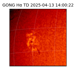 gong - 2025-04-13T14:00:22