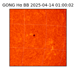gong - 2025-04-14T01:00:02
