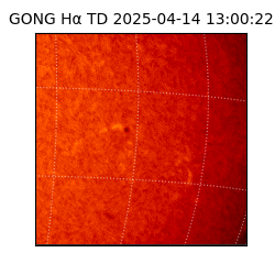 gong - 2025-04-14T13:00:22