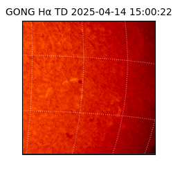 gong - 2025-04-14T15:00:22