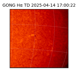 gong - 2025-04-14T17:00:22