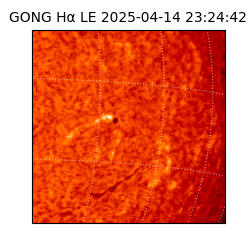 gong - 2025-04-14T23:24:42