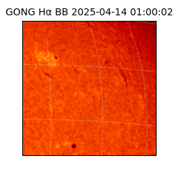 gong - 2025-04-14T01:00:02