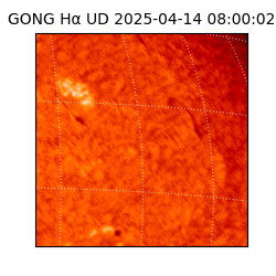 gong - 2025-04-14T08:00:02