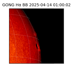 gong - 2025-04-14T01:00:02