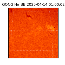 gong - 2025-04-14T01:00:02