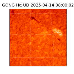 gong - 2025-04-14T08:00:02