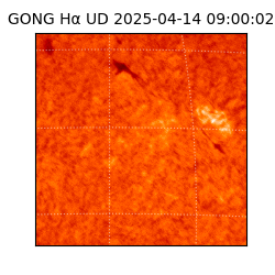 gong - 2025-04-14T09:00:02