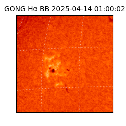 gong - 2025-04-14T01:00:02