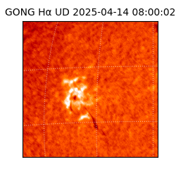 gong - 2025-04-14T08:00:02