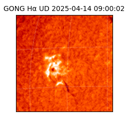 gong - 2025-04-14T09:00:02