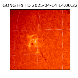 gong - 2025-04-14T14:00:22