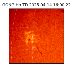 gong - 2025-04-14T16:00:22