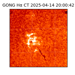 gong - 2025-04-14T20:00:42