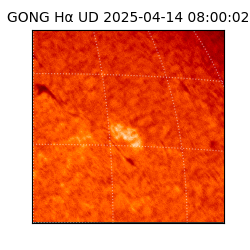 gong - 2025-04-14T08:00:02