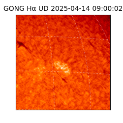 gong - 2025-04-14T09:00:02