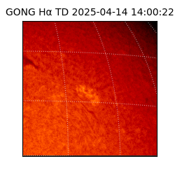 gong - 2025-04-14T14:00:22