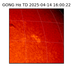 gong - 2025-04-14T16:00:22