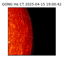 gong - 2025-04-15T19:00:42