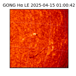 gong - 2025-04-15T01:00:42