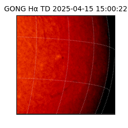 gong - 2025-04-15T15:00:22