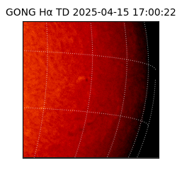 gong - 2025-04-15T17:00:22