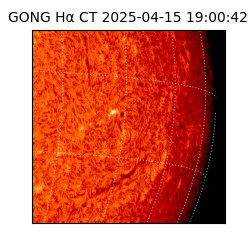 gong - 2025-04-15T19:00:42