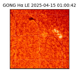 gong - 2025-04-15T01:00:42