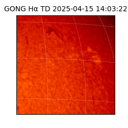 gong - 2025-04-15T14:03:22