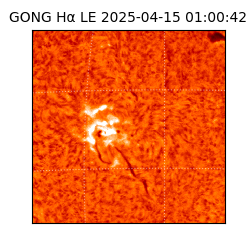 gong - 2025-04-15T01:00:42