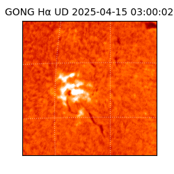 gong - 2025-04-15T03:00:02