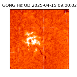 gong - 2025-04-15T09:00:02